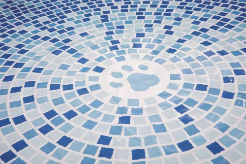 INTEX Foldable Pet Pool kisállat medence, 152 x 30 cm (48400)