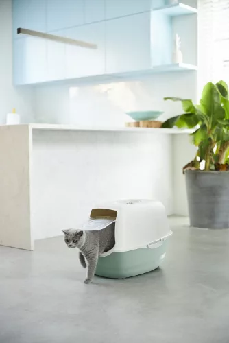 Rotho Eco bailey műanyag macska WC - zöld