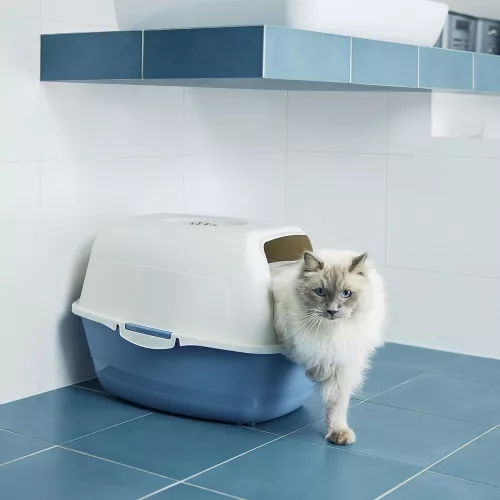 Rotho Eco bailey műanyag macska WC  - kék