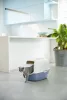 Rotho Eco bailey műanyag macska WC  - kék