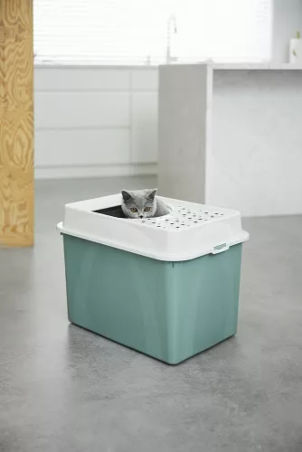 Rotho Eco berty műanyag macska WC - fekete/homok