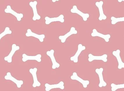 Petsy Bonnie 50 cm pamut fekhely kutyák és macskák részére