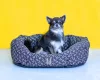 Petsy Lasky kutya, macska pamut fekhely - 50 cm 