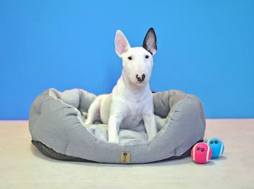 Petsy Alík puha gyapjú kutyafekhely - szürke - 65 cm