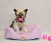 Petsy Connie poliészter kutyafekhely - pink-szürke - 65 cm